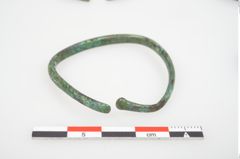 Foto von Bronzering (NHMW-PRAE-026628)